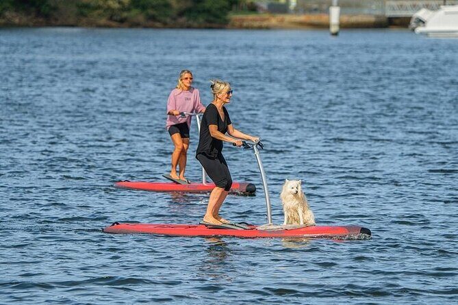 From Sydney: Full Day Tour of Golden Beaches and Ocean Vistas - What Travelers Say About This Tour