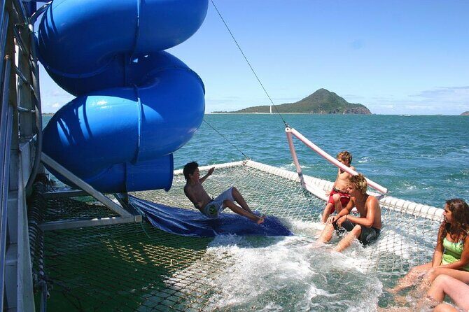 From Sydney: Port Stephens Dolphin, Koalas, Lunch & Sandboarding - What Makes This Tour Stand Out?