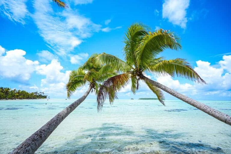 From Tahiti: Tetiaroa Island Tour by Sailing Catamaran - Practical Aspects: What You Need to Know