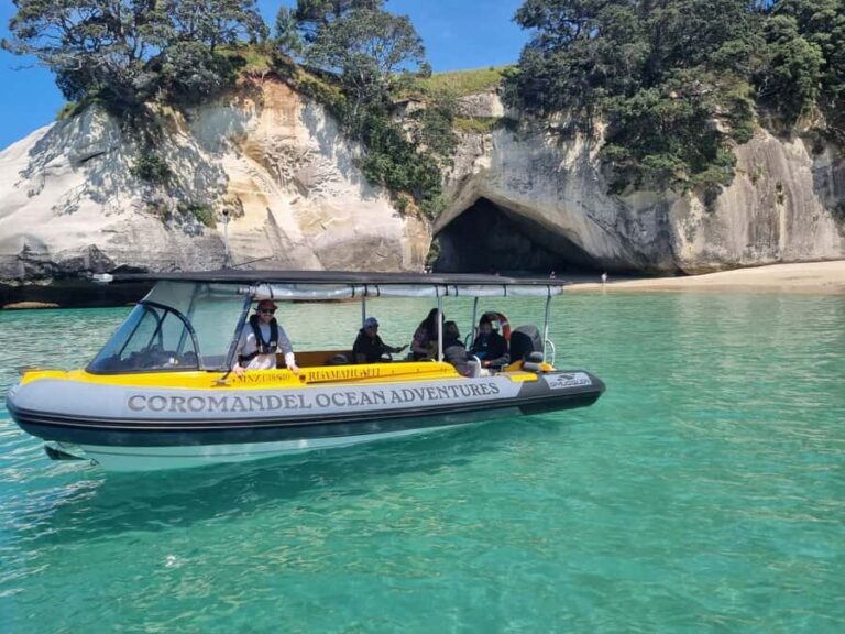 From Tairua: 2 Hour Cathedral Cove Tour with Local Guide - The Experience: A Balance of Sightseeing, Learning, and Fun