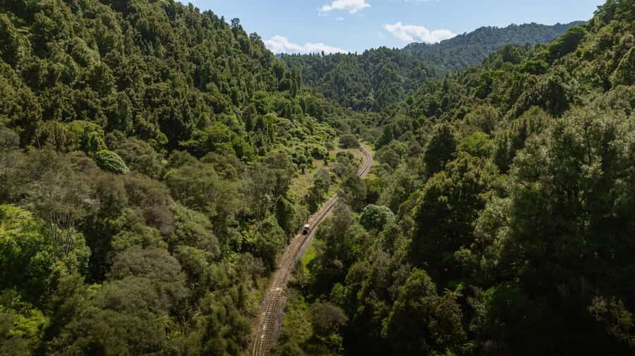 From Taumarunui: The Republic Rail Cart Adventure - Scenic Stops and Food Highlights