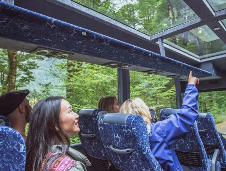 From Te Anau: Milford Sound Coach Tour and Cruise - Transportation and Value