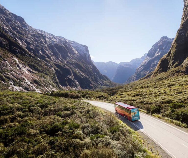 From Te Anau: Milford Sound Extended Cruise and Coach Tour - Milford Sound: The Heart of the Tour