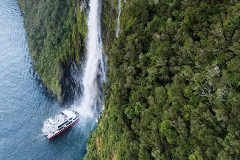 From Te Anau: Milford Sound Premium Bus Tour and Cruise - Real Traveler Experiences