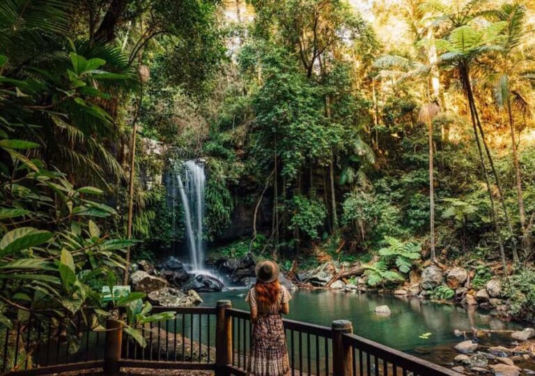 From the Gold Coast Hop on Hop off Bus to Tamborine Mountain - Why This Tour Offers Great Value