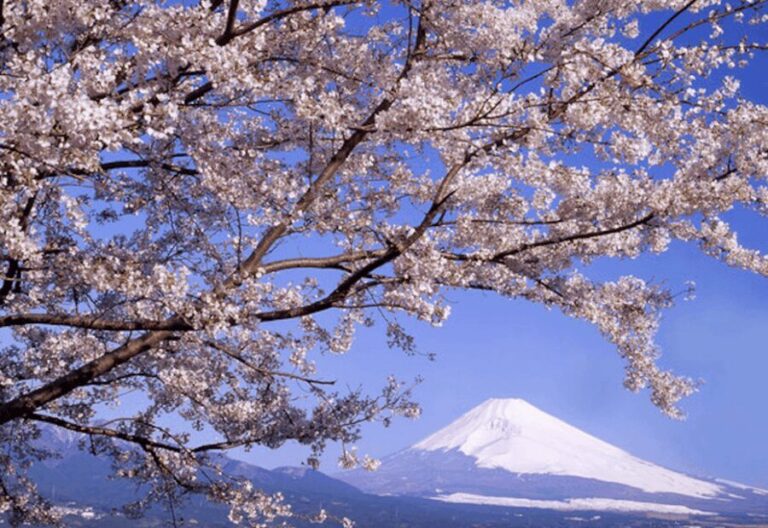 From Tokyo Custom Mt.Fuji tour with the Private van - Who Will Love This Tour?