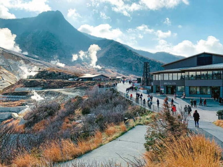 From Tokyo: Mount Fuji And Hakone Private Full Day Trip - Visiting Mt. Fuji: The 5th Station and Views