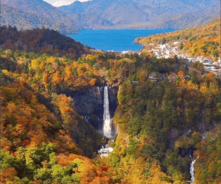 From Tokyo: Mount Fuji Full Day Customizable Private Tour - What Travelers Say