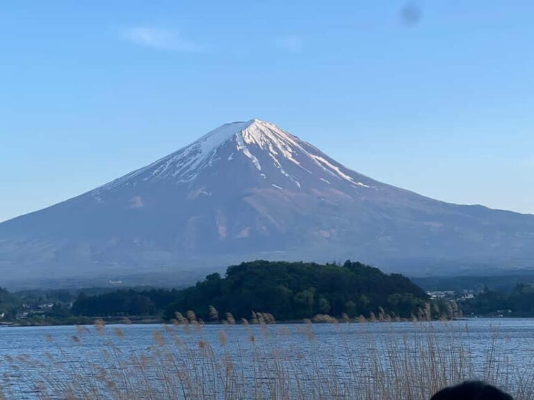 From Tokyo: Mount Fuji Private Tour with a Driver/Guide - Detailed Breakdown of the Tour Experience