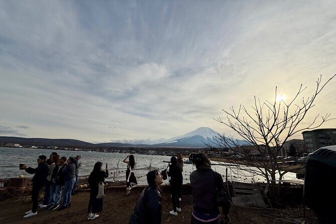 From Tokyo: Mount Fuji Private Trip with English Speaking Driver - What Travelers Say and Why It Matters