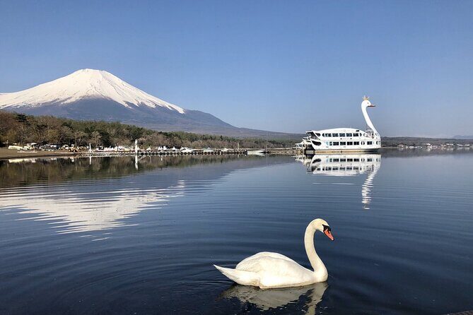 From Tokyo: Mt Fuji Lawson & Mt. Fuji Iconic Lakes 1-Day Bus Tour - Who Will Love This Tour?