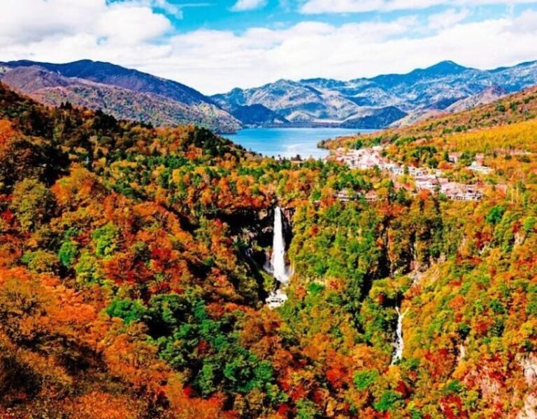 From Tokyo: Nikko private 1-day sightseeing Tour with Guide - The First Stop: Toshogu Shrine — Japan’s Most Ornate UNESCO Site