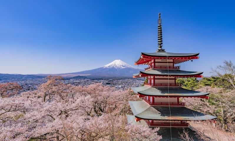 From Tokyo:Mt.Fuji &Hakone Trip with English Speaking guide - The Value and Why It Works
