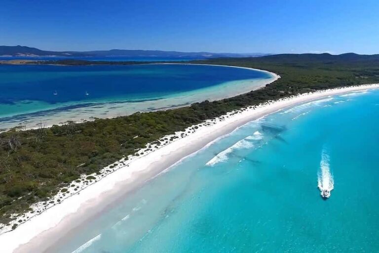 From Triabunna: Maria Island Cruise & Guided Walk with Lunch - The Practicalities: What to Know Before You Book
