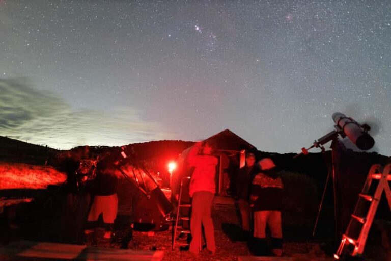 From Wairarapa: Star Safari with Astronomers & VR Experience - Who Will Love This Tour?