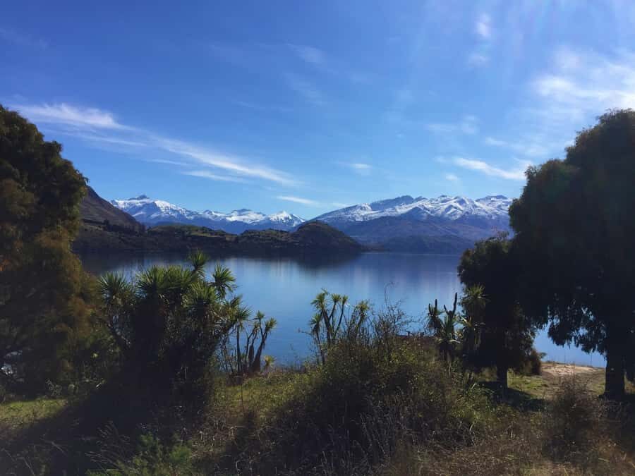 From Wanaka: Ruby Island 1-Hour Cruise and Photo Walk - The Experience: What Sets It Apart