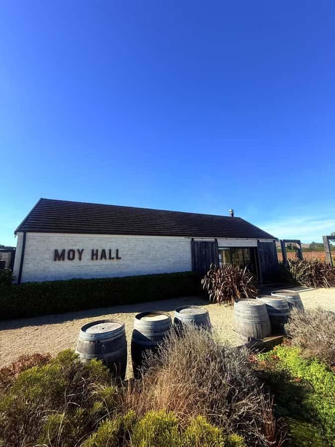 From Wellington: Half-Day Foodie Tour of the Wairarapa - What Makes This Tour Stand Out