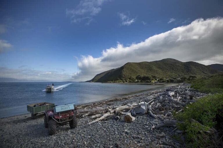 From Wellington: Kapiti Island Classic Guided Day Tour - Why This Tour Works