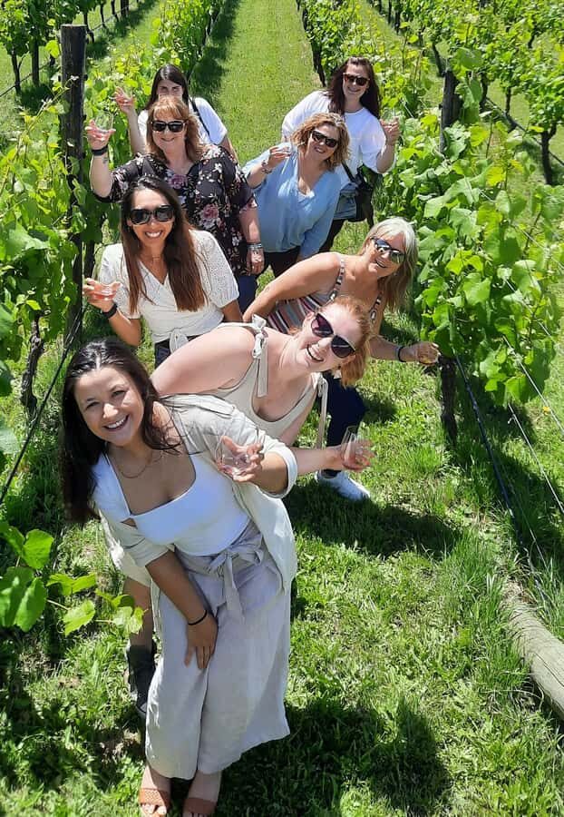 From Wellington: Martinborough Winery Tour - Exploring the Itinerary: What to Expect