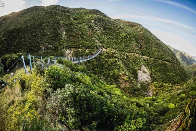 From Wellington: Remutaka Rail Trail eBike Tour - The Summit and the Descent