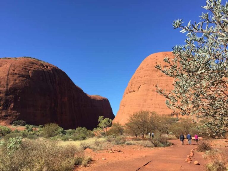 From Yulara: 3-Hour Small Group Kata Tjuta Afternoon Tour - The Value of the Experience