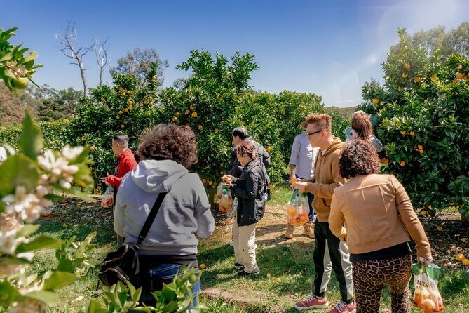 Fruit Picking & Nature Private Tour Yarra Valley & Warburton - What’s Included and Whats Not