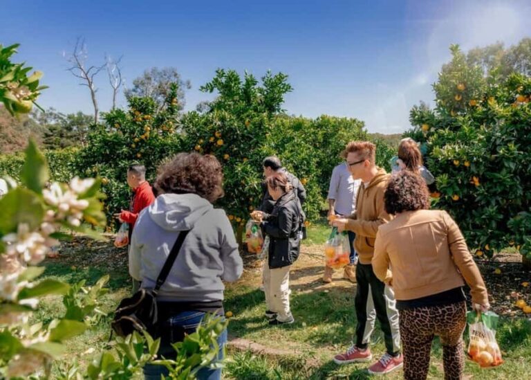 Fruit Picking & Nature Tour Yarra Valley & Warburton - Analyzing the Value