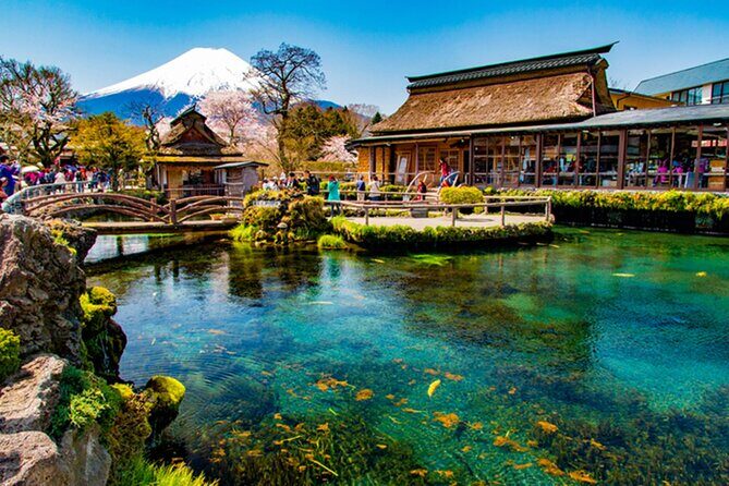 Fuji and Hakone Private Tour with English Guide and Photography - A Deep Dive Into the Experience