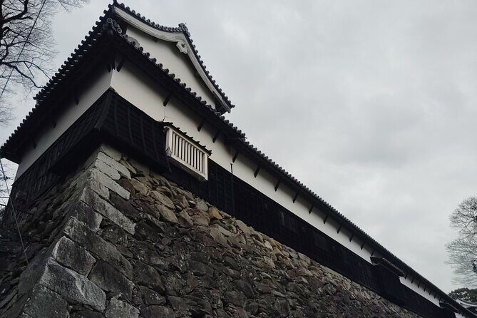 Fukuoka: Fukuoka Castle and Ohori Park Guided Tour - Practical Details and Value