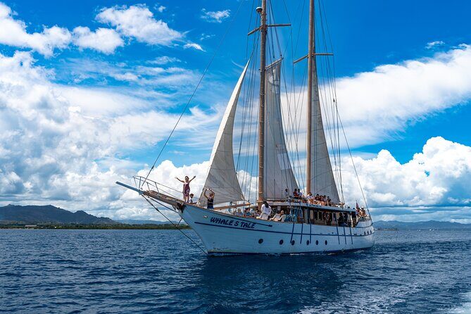 Full-Day Coral Coast Private Guided Tour - What the Tour Means for You