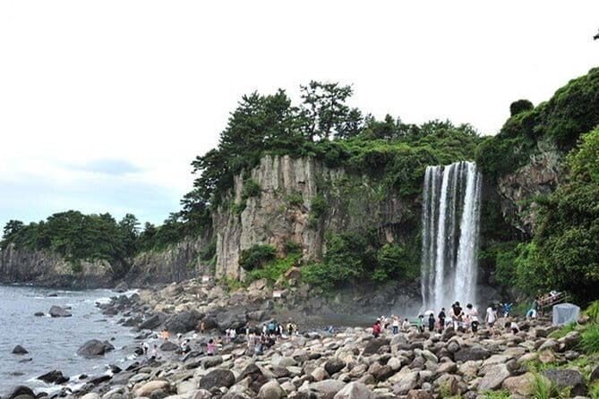 Full-day Customizable Private Jeju Island Tour - What Makes This Tour Stand Out?
