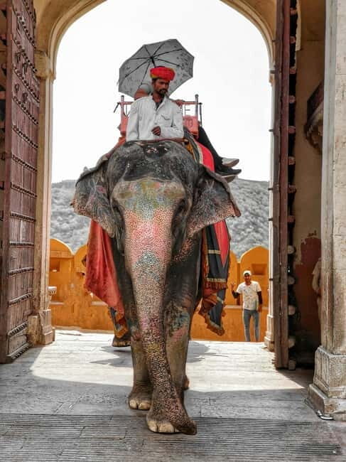 Full Day Delhi Siteseen Tour Including New Delhi & Old Delhi - What’s Included and What to Keep in Mind