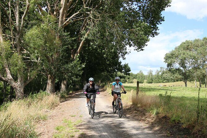 Full Day Ebike Tour in Karangahake Gorge (ex Auckland) - Why This Tour Offers Great Value