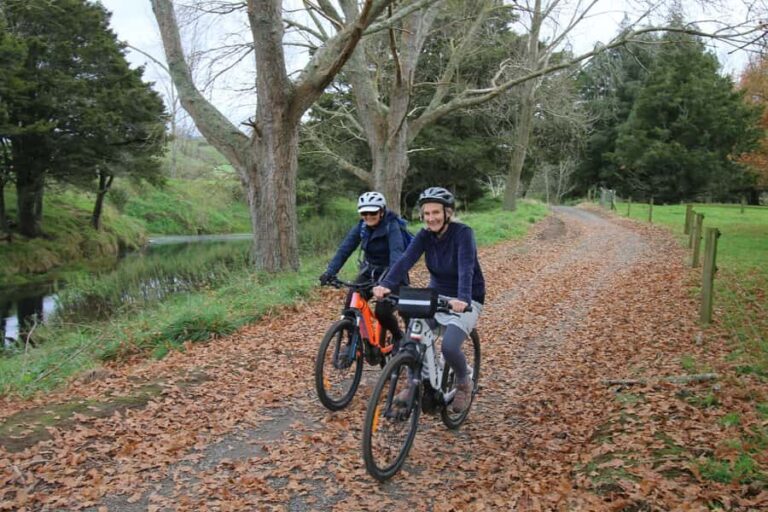Full Day Ebike Tour - Karangahake Gorge NZ - The Itinerary: What to Expect on Your Day