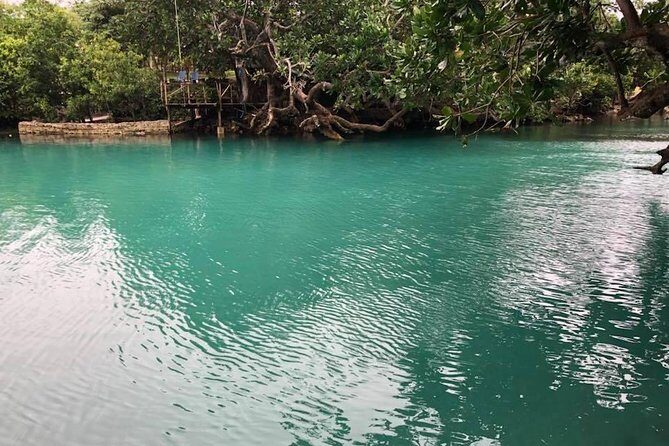 Full-Day Efate Round Island Trip with Yumi Tours - What Travelers Say