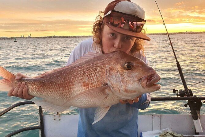 Full Day Fishing Trip on Auckland Waitemata Harbour - What Travelers Say: Authentic Insights