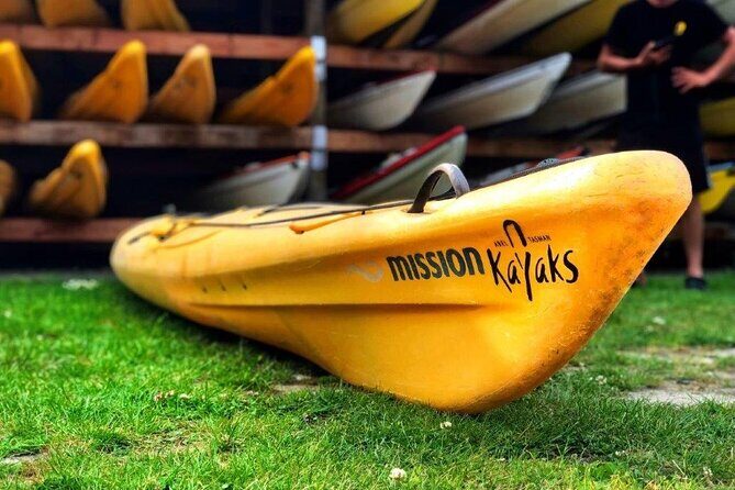 Full-Day Freedom Kayak Rental in New Zealand - Who Should Consider This Experience?