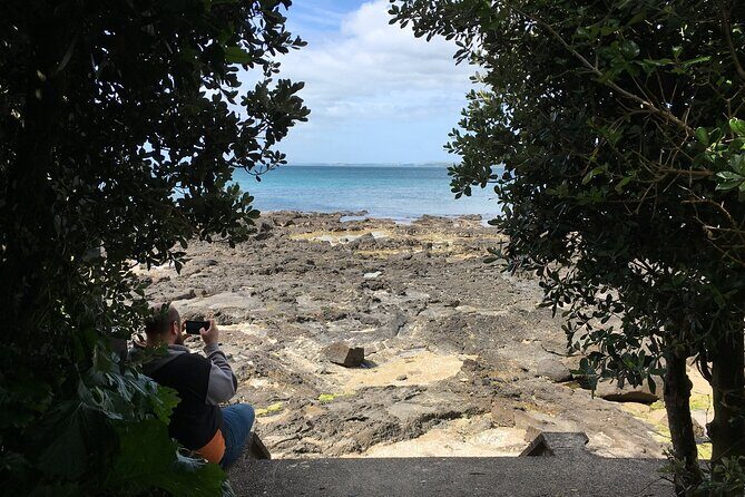 Full-Day Grand Auckland Volcanoes Tour - The Experience: What Travelers Say