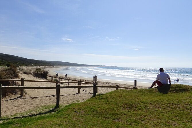 Full-Day Great Ocean Road and 12 Apostles Tour - A Detailed Look at the Itinerary