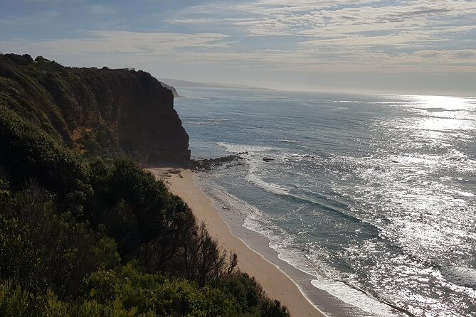 Full-Day Great Ocean Road Tour from Melbourne - FAQ