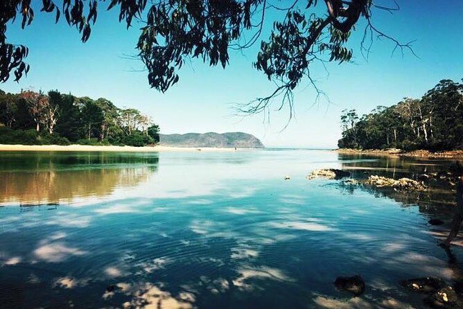 Full-Day Guided Bruny Island Tour from Hobart - The Value of the Tour
