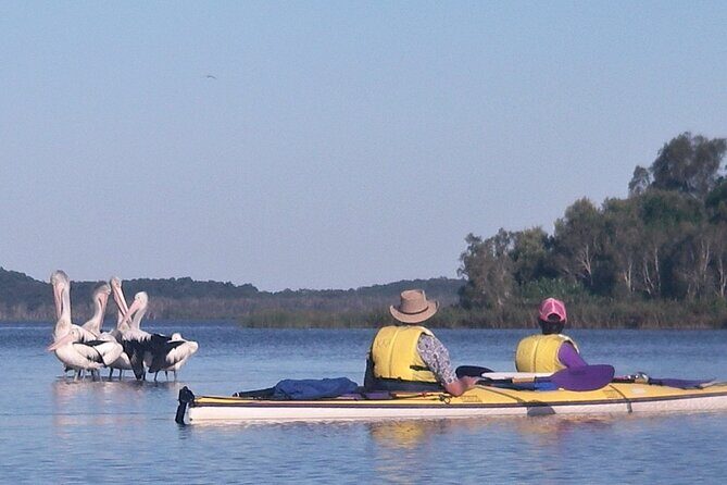 Full-Day Guided Noosa Everglades Kayak Tour - An In-Depth Look at the Experience