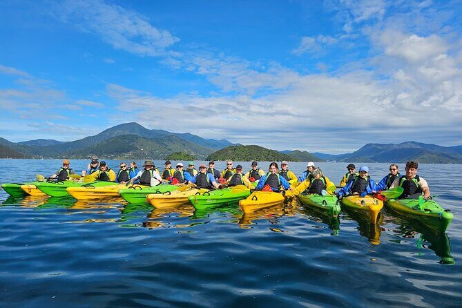 Full day Guided Sea Kayak Tour from Picton - Why People Love This Tour