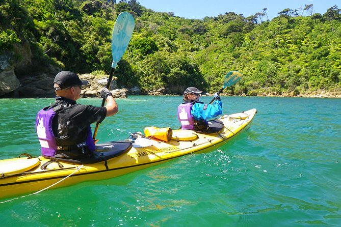 Full-Day Guided Sea Kayak Trip from Picton - An In-Depth Review of the Sea Kayak Experience