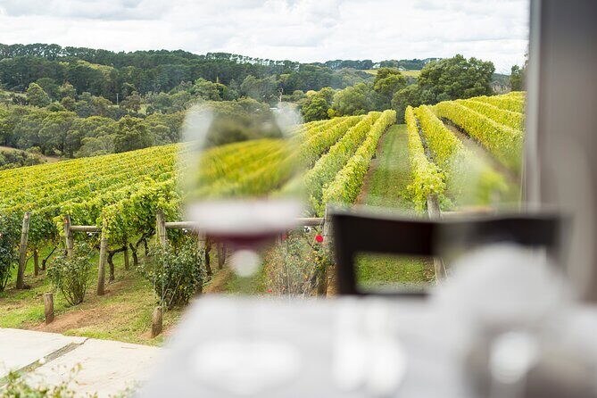 Full-Day Guided Tour on the Beautiful Mornington Peninsula. - Who Will Appreciate This Tour?