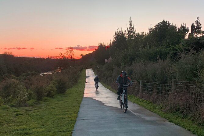 Full Day Guided Waikato River Trail E-bike Tour - Who Should Consider This Tour?