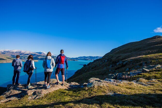 Full Day Guided Walking Tour and Picnic around Godley Head - Pricing and Value: What You’re Getting for $186
