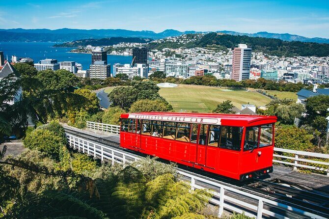 Full Day Guided Wellington Tour including guided tour at Te Papa - Visiting the Weta Cave and Wellywood