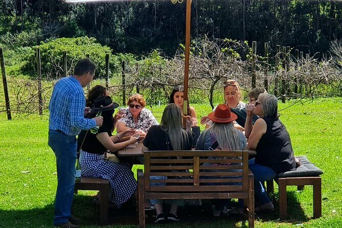 Full Day Guided Wine Tour in Mt Tamborine From Brisbane - Final Thoughts
