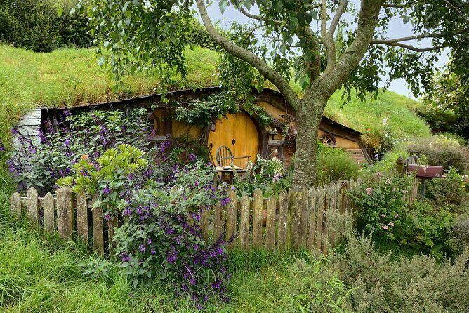 Full Day Hobbiton Movie Set and Rotorua Tour from Auckland - Analyzing the Value